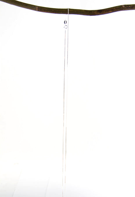 Polished Box Chain 24'