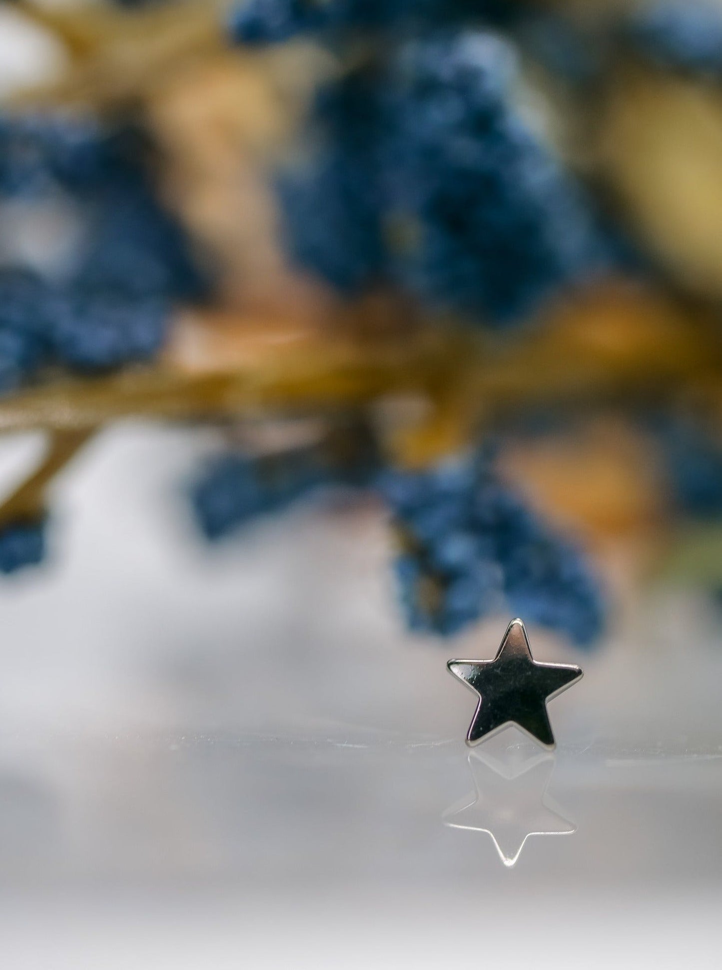 Stellar - Titanium Threadless End Standard Jewelry by Invictus