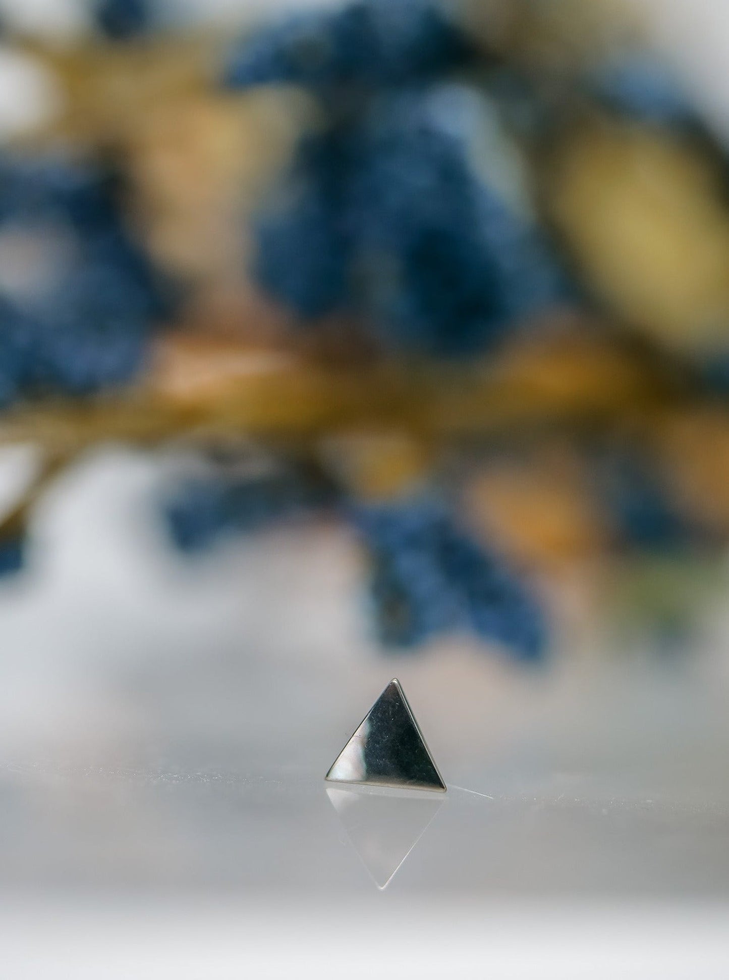 Triangle - Titanium Threadless End Standard Jewelry by Neometal