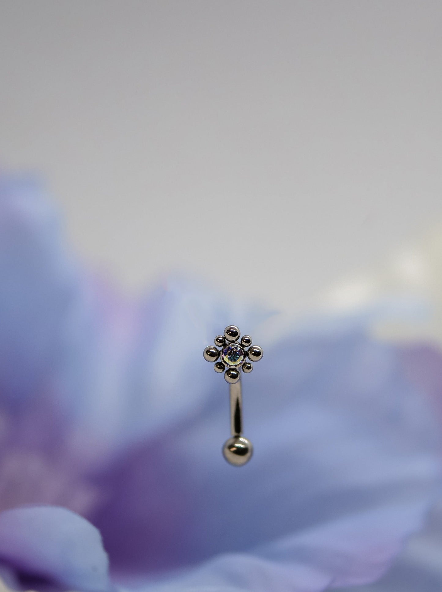 Beaded Bezel Flower Top Internally Threaded Curved Barbell by Invictus