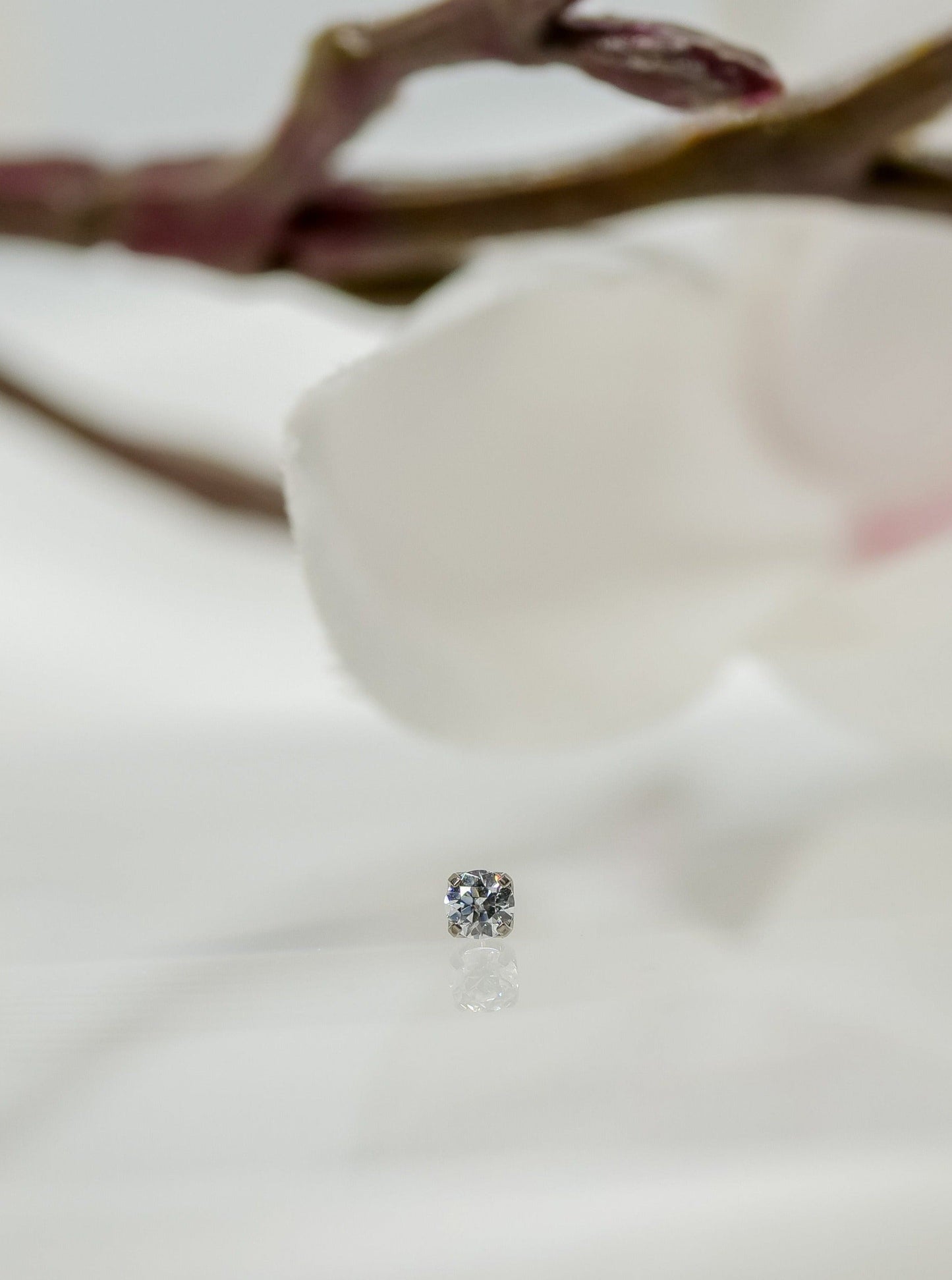 small prong clear threadless end tragus, lobe, conch, nose, lip, medusa piercing jewelry