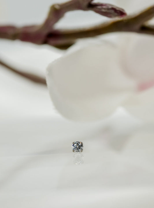 small prong clear threadless end tragus, lobe, conch, nose, lip, medusa piercing jewelry