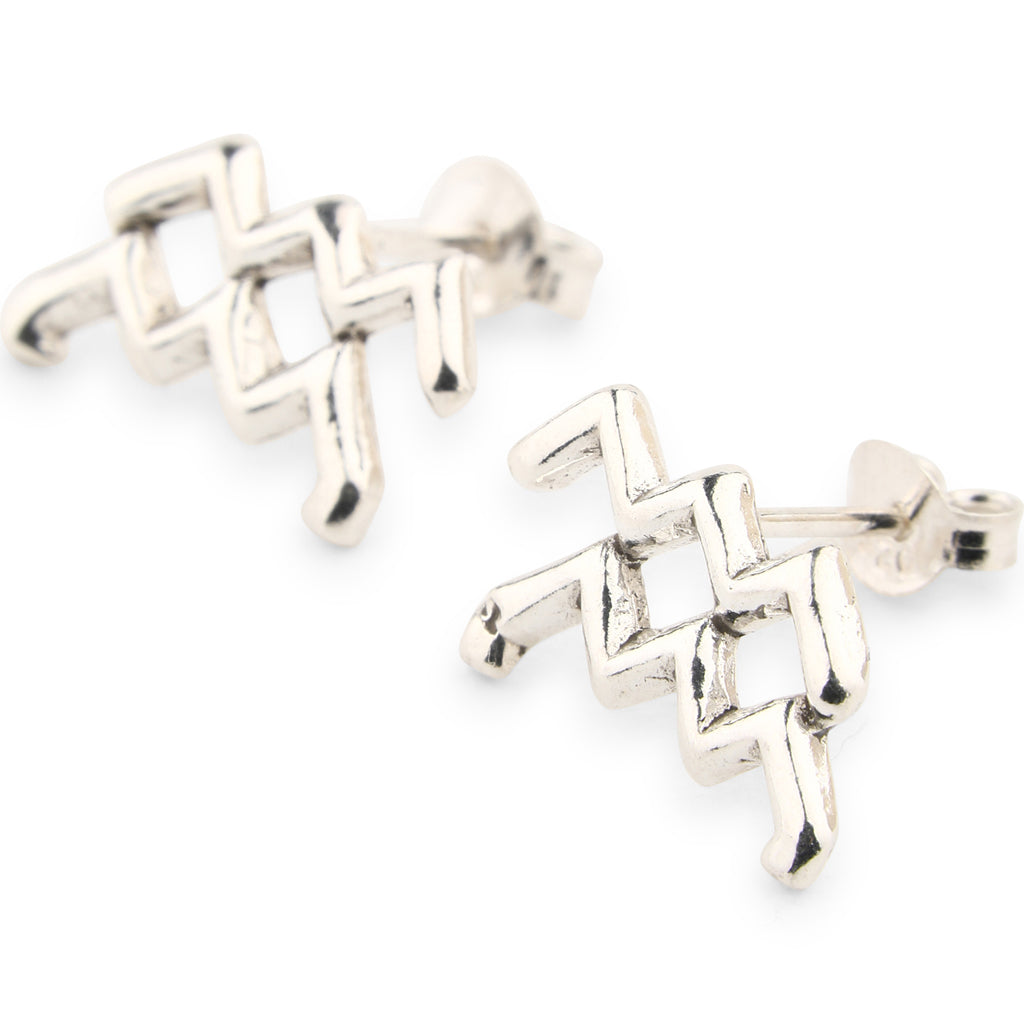 Earrings Stud Silver Zodiac