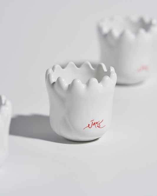 JANS Gua Sha Special