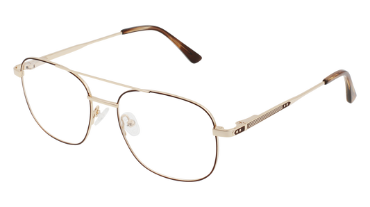 FR!DAY RALEIGH GOLD & BROWN