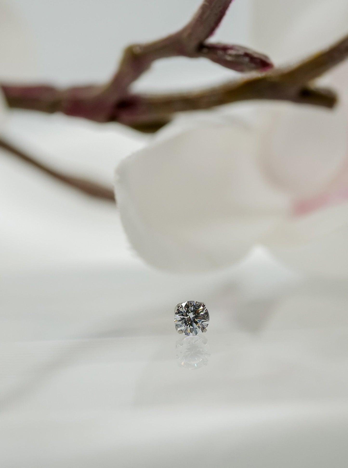 large prong set white swarovski gem conch or ear lobe jewelry