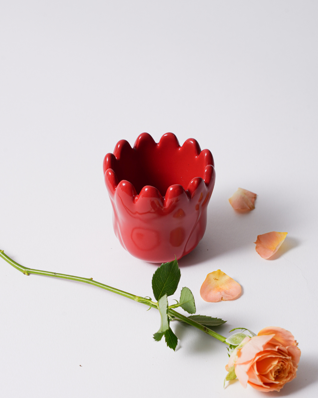 JANS Gua Sha Special