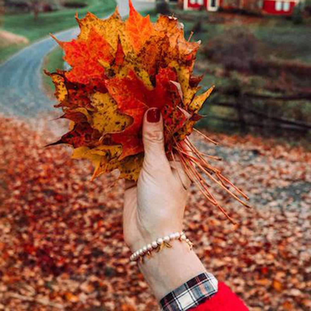 Dancing Leaves Bracelet by Kiel James Patrick - Country Club Prep