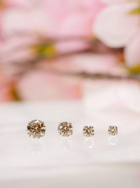 Prong-set Champagne Swarovski End in Titanium by NeoMetal