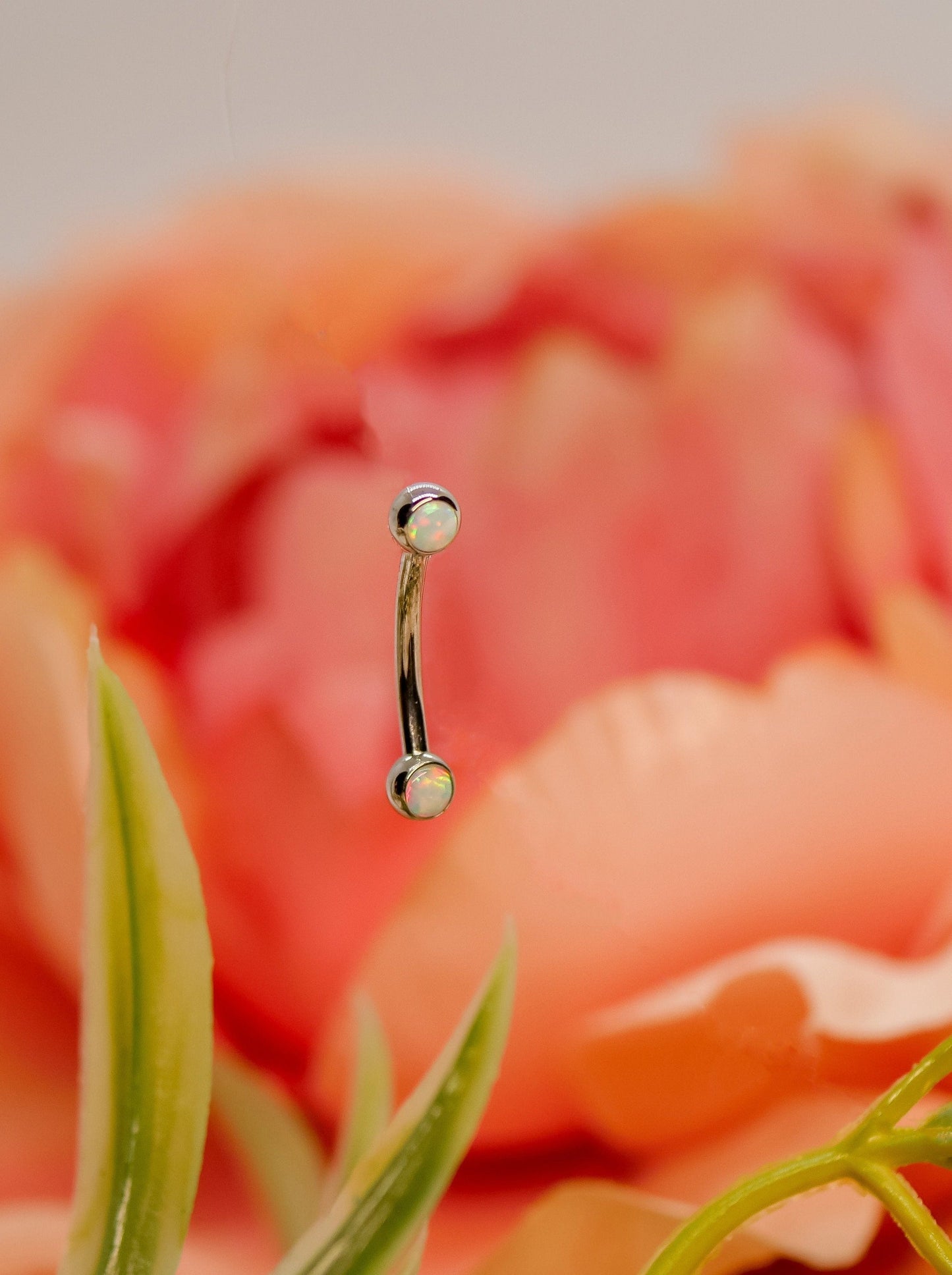 white opal curved rook or eyebrow bar